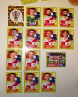 🇭🇷 14x Panini Team Kroatien - CRO 1-4,6-9,11-16