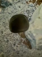 Onyx