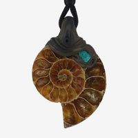 Ammonit Fossil Steinanhänger