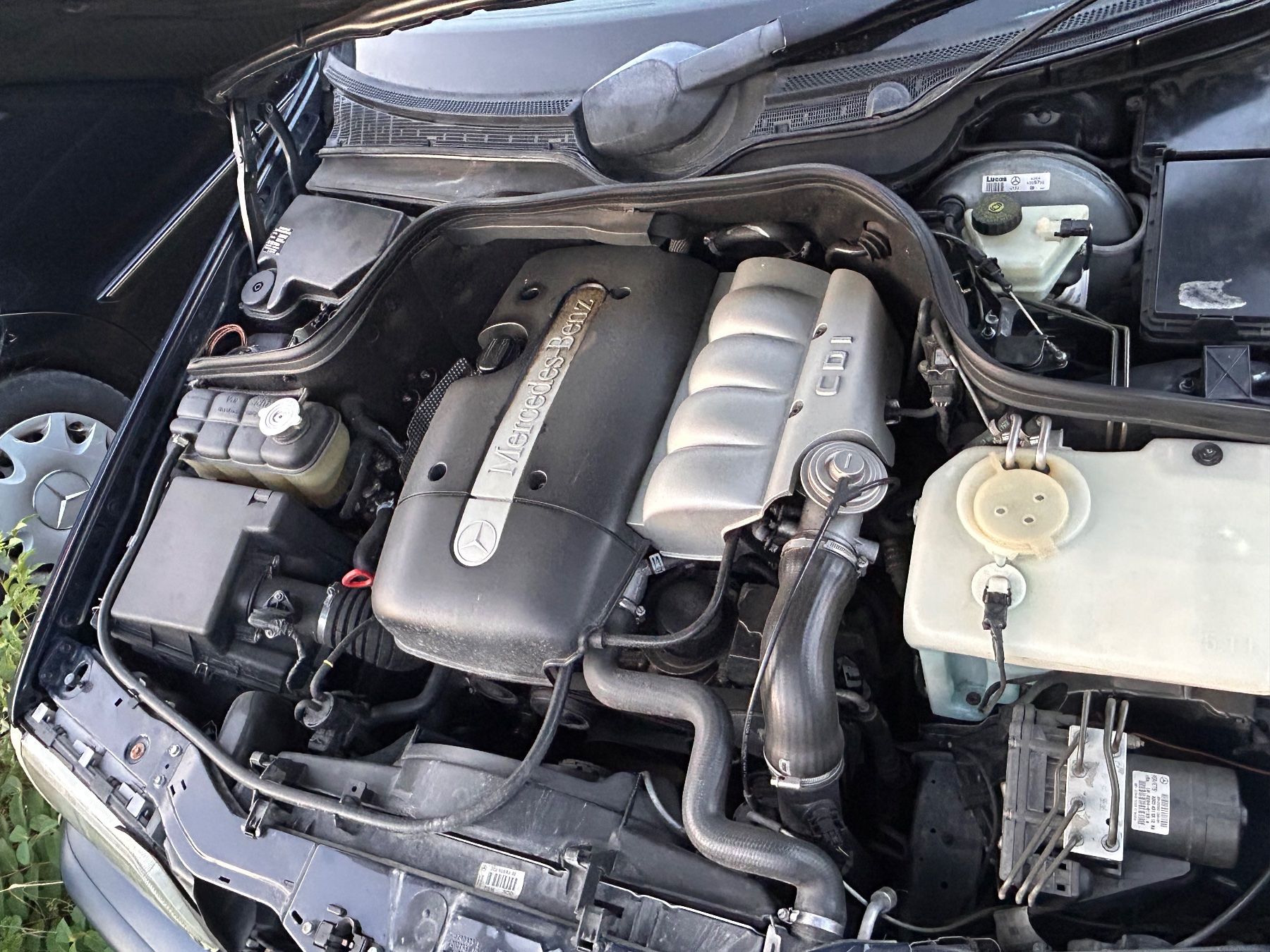 Mercedes-Benz Automobili: Mercedes- Benz C220 CDI – Difettoso da Bülach venduto da morbrothers 4
