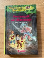Piratenspuk am Mississippi