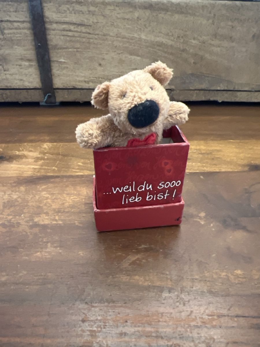 Tutte le decorazioni: Mini Kuscheliger Teddybär im Geschenkkarton – Nuovo (secondo la descrizione) da Altdorf UR venduto da JanAil 1