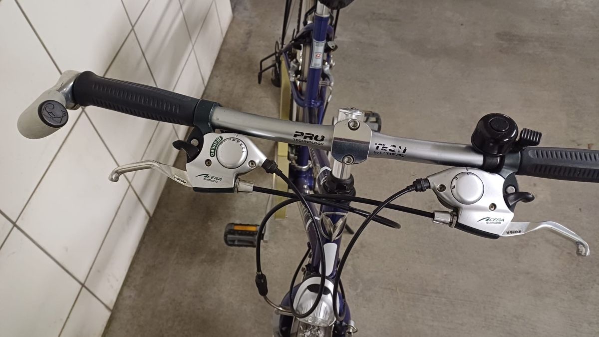 Villiger Biciclette: Bedretto Villiger Damen Velo – Usato da Birmensdorf ZH venduto da des_r5ll 8