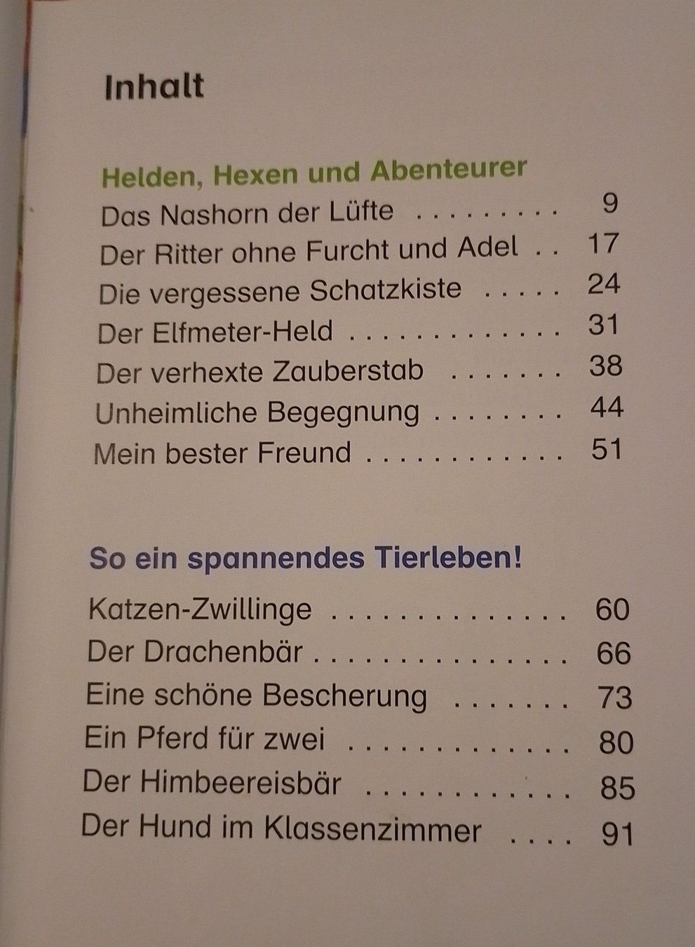 Libri: Lesepiraten – Usato da Therwil venduto da Twista11 2