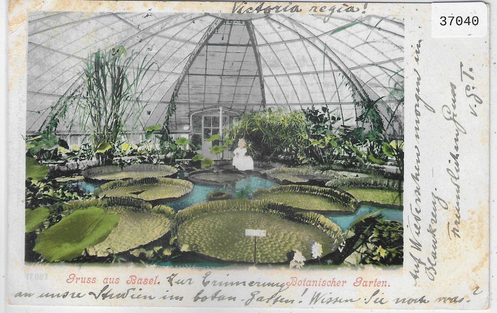 Cartoline postali: Gruss aus Basel - Botanischer Garten - Litho – Usato da Ettingen venduto da Kartenplanet