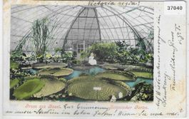 Gruss aus Basel - Botanischer Garten - Litho