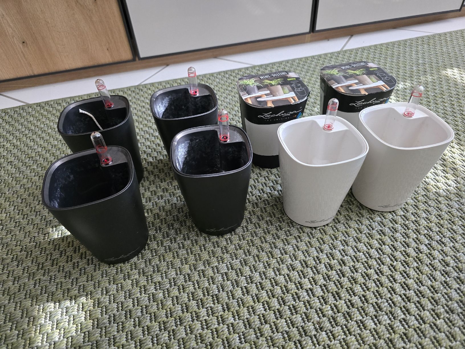 Lechuza Vasi per fiori: 8er-Set LECHUZA MINI-DELTINI Selbstbewässerungstöpfe – Usato da Rapperswil SG venduto da blackout_7
