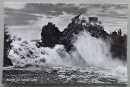 Rheinfall und Schloss Laufen