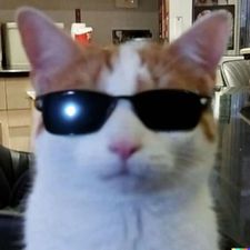 Profile image of Jonas4445