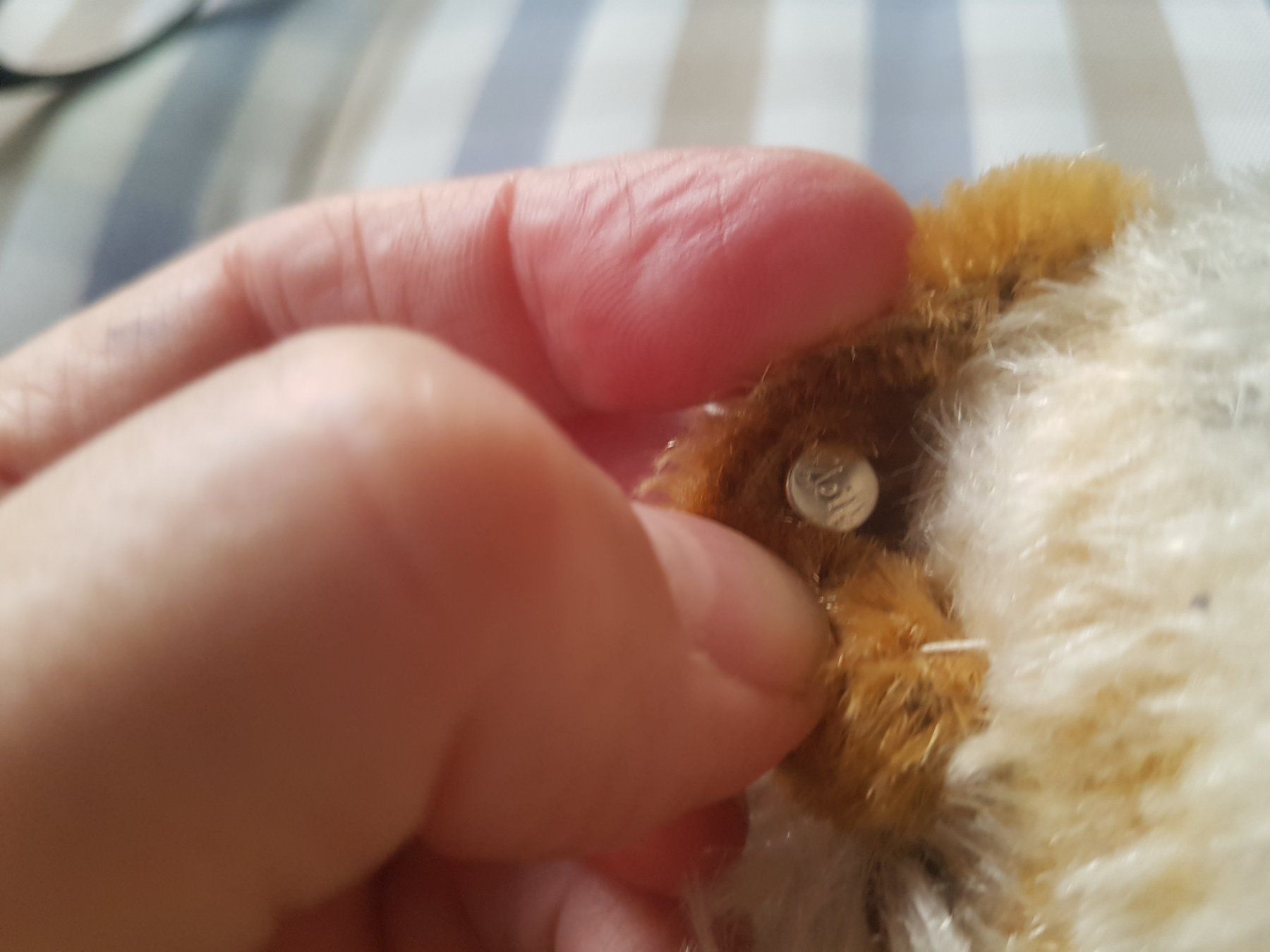 Steiff Giocattoli: Steiff Vintage Handpuppe Foxy – Usato da Chur venduto da Okapi77 2