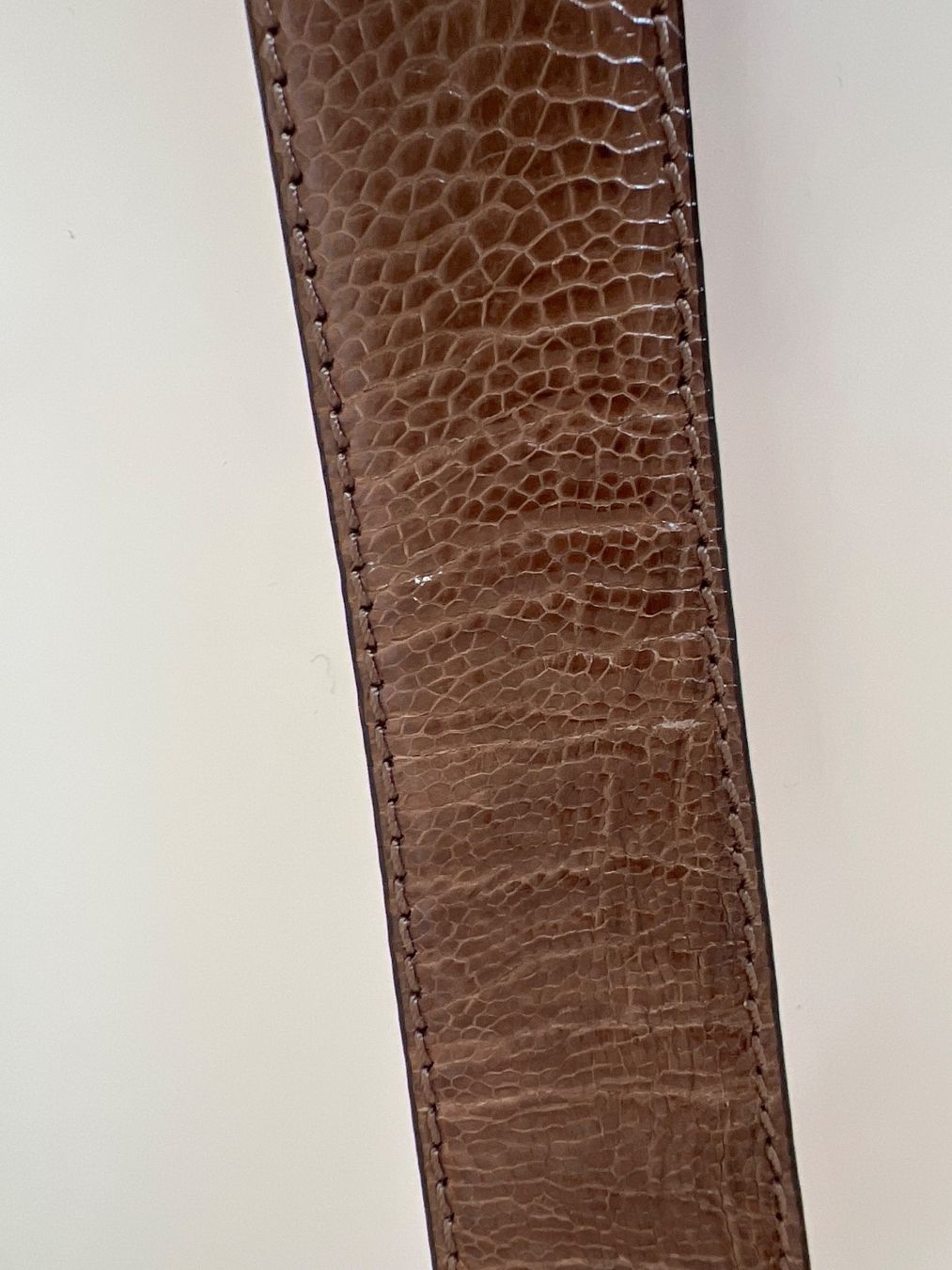 Cinture: REPTILE LEATHER GUERTEL – Usato da Zürich venduto da SWKA 1