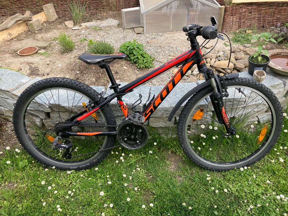 Wunderschne Scott 24 Zoll Ebenbild