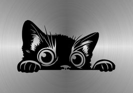Fun Aufkleber Tuning Sticker Decal 547