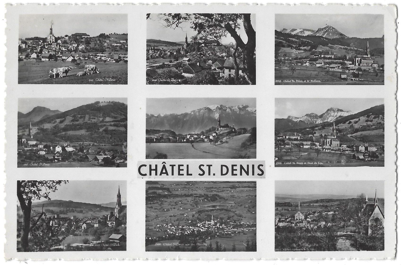 Cartoline postali: C H Â T E L  S T.  D E N I S   in  9  Bildern – Usato da Bütschwil venduto da Jackson1A