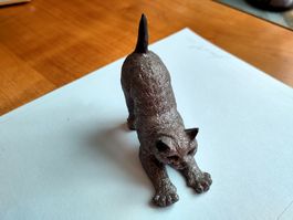 😺😺😺 andrazit glänzende  kleine Katze macht einen Buckel