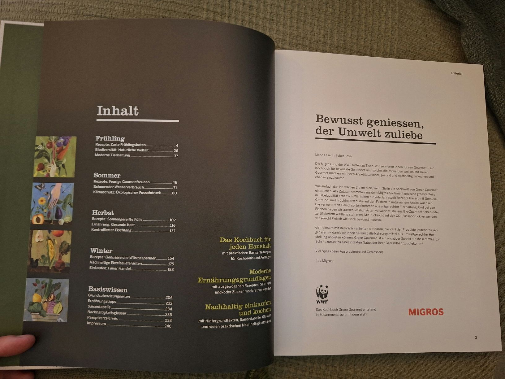 Libri: Kochbuch "Green Gourmet" (wie neu) – Nuovo (secondo la descrizione) da Langnau i. E. venduto da Ajloua 2