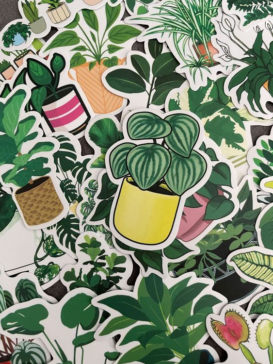 50x Diverse Pflanzen / Aufkleber Sticker (Neu (gemäss Beschreibung)) in ...