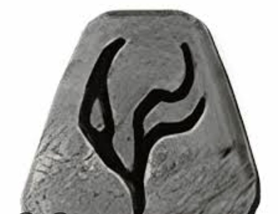 IST Rune Diablo 2 Resurrected (Gebraucht) in Bonaduz für CHF 1 – nur ...
