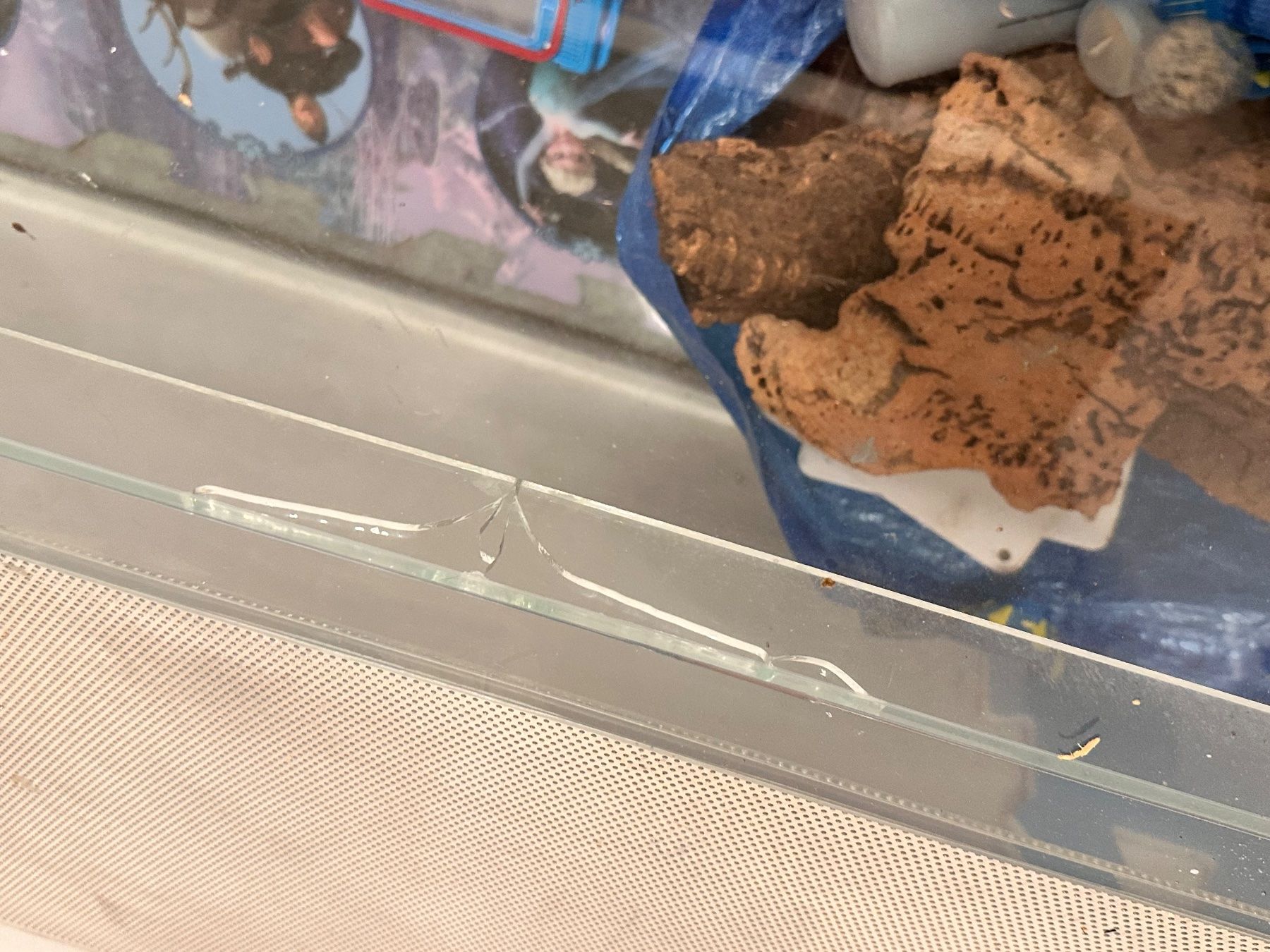 Terrarium: Terrarium / Nagerkäfig – Gebraucht aus Erlenbach ZH von cassi123 2