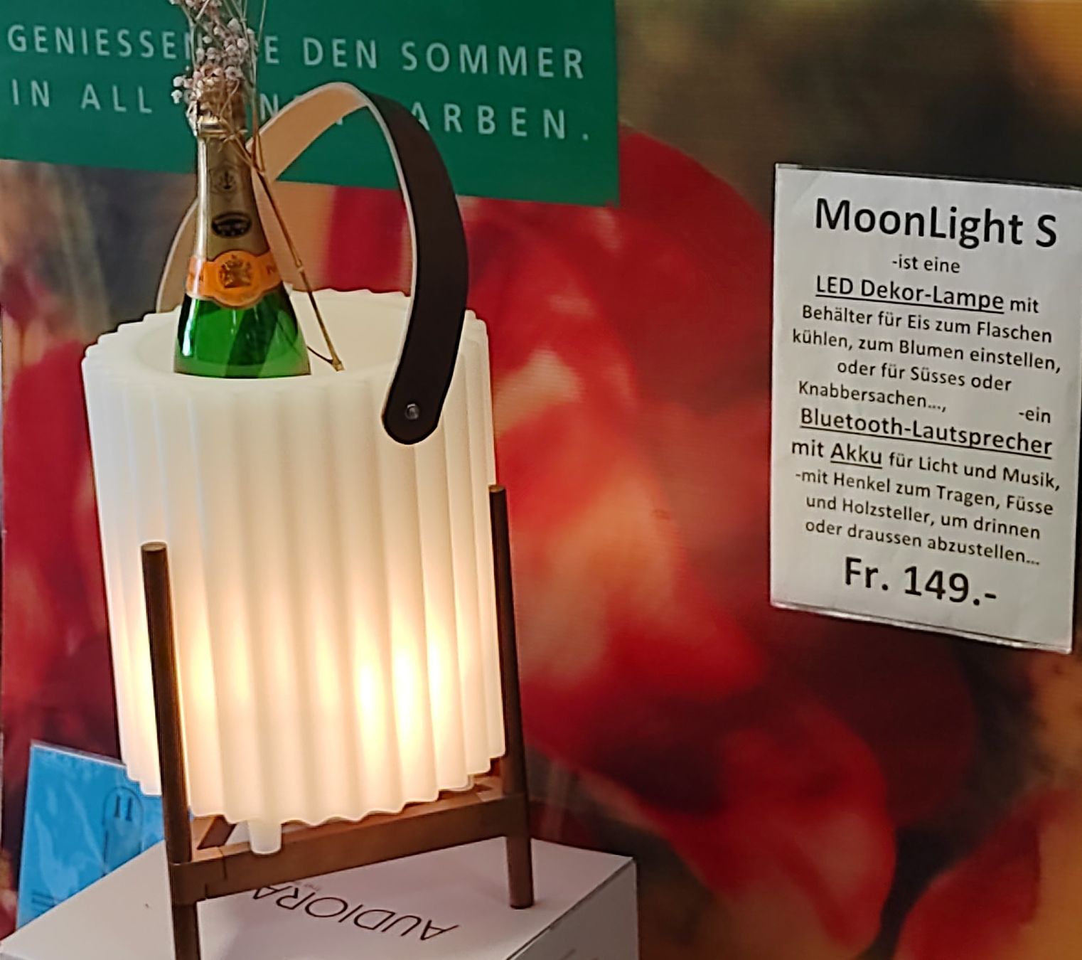 Altro: Bluetooth-Box/DekorLicht/Fla.-Kühler, Ein ideales Geschenk – Nuovo e nell'imballaggio originale da Kirchberg BE venduto da RadioGerber