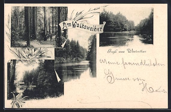 Cartoline postali: AK Winterthur, Partie am Walkeweiher – Usato da Berlin venduto da bartko-reher