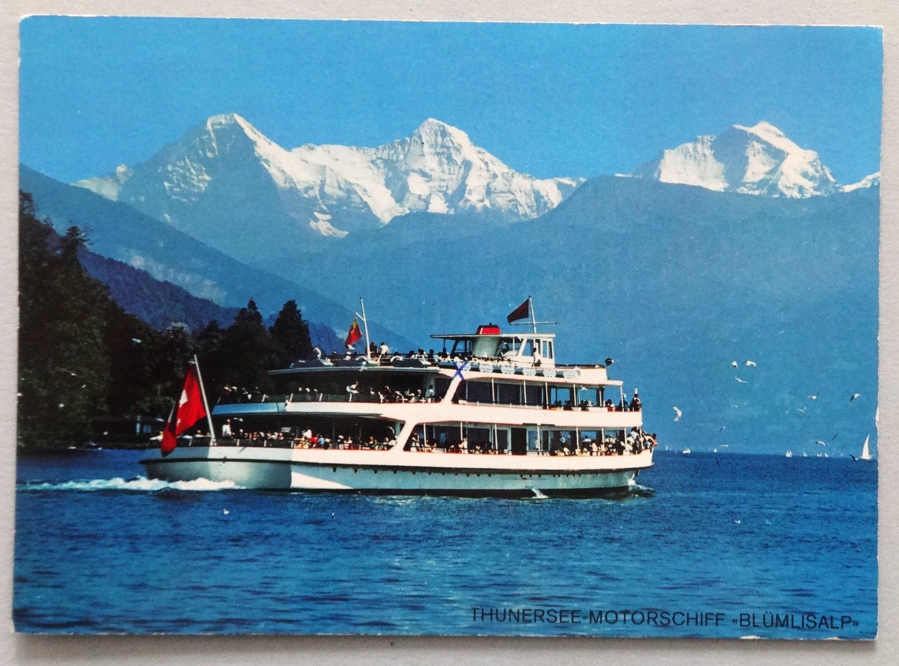 Ansichtskarten: Thunersee - Motorschiff "Blümlisalp" – Gebraucht aus Fétigny von Billy2miny
