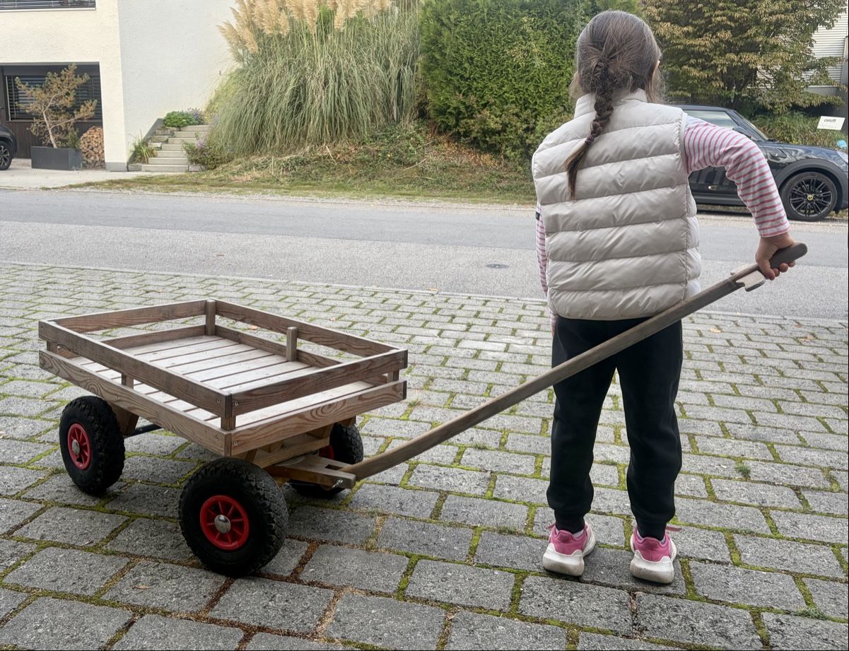 Chariots de transport: Handgefertigter Leiterwagen – D'occasion à Ebikon par lisa_basler 1