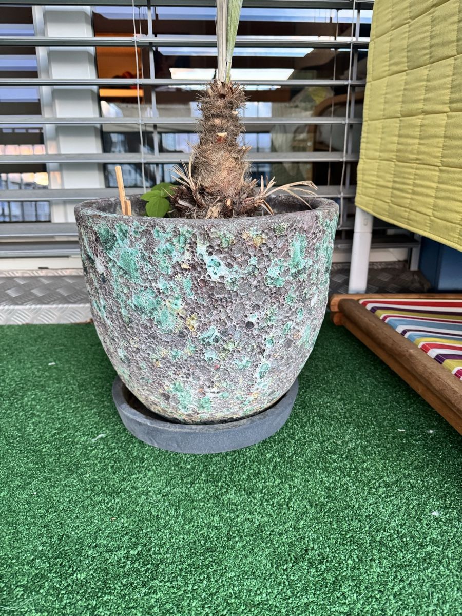 Coop Vasi per fiori: Pflanzentopf grau blau H: 31cm B: 35cm  – Usato da Zürich venduto da gosia_z