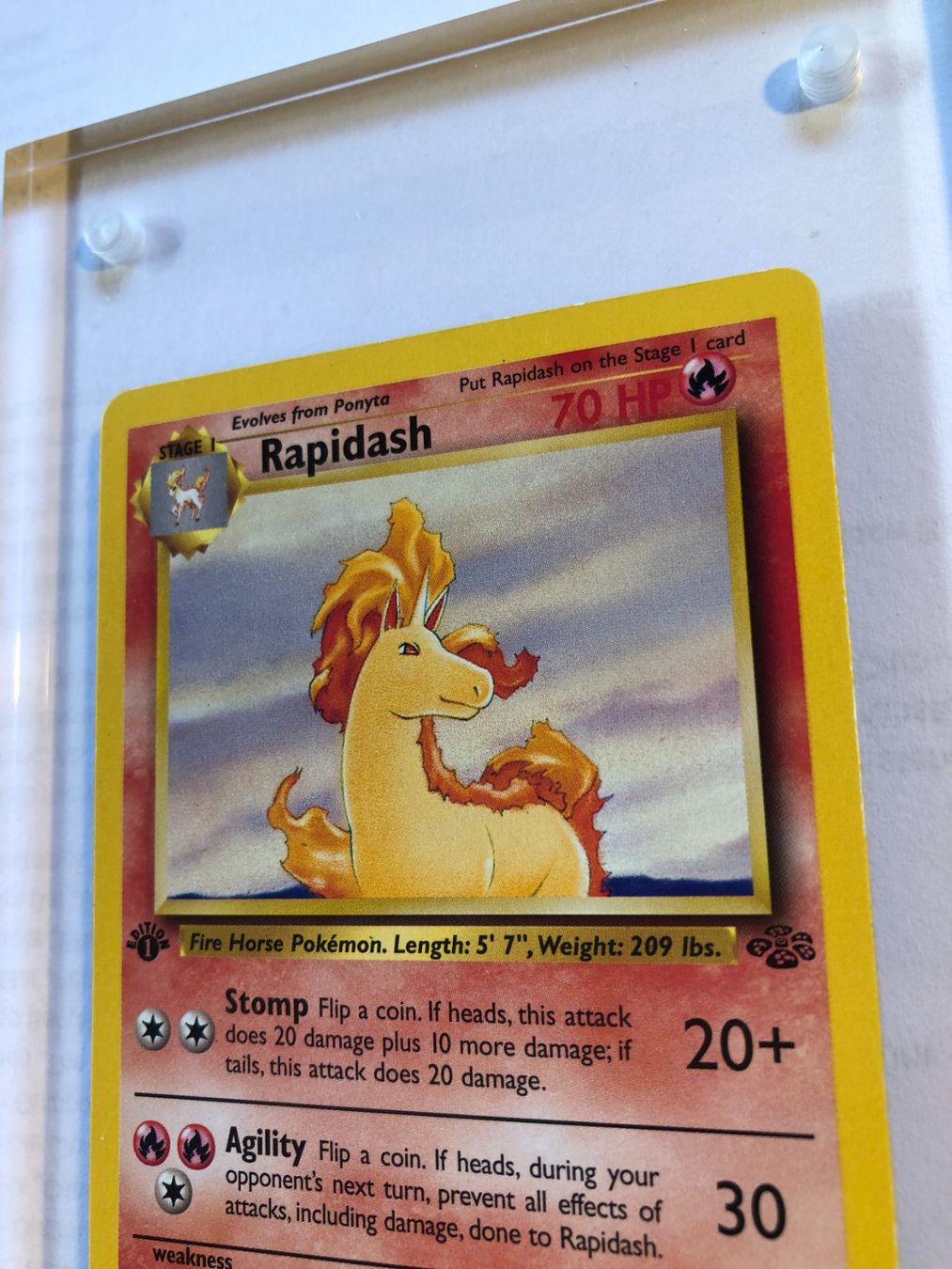 Sammelbilder & Trading cards: Rapidash (uncommon) 1st Jungle - LP - ab 1.- – Gebraucht aus Giubiasco von dan_pr8b 3