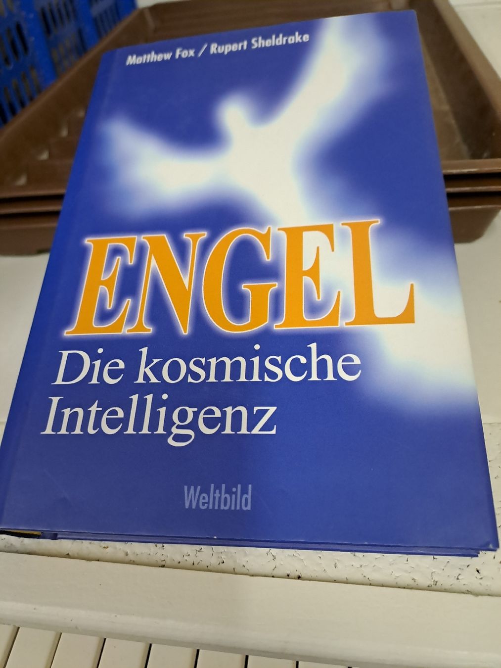 Libri: Engel - Die kosmische Intelligenz – Usato da Zürich venduto da Schoebi19 1