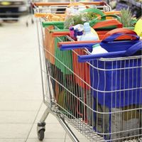 ❗Jetzt 21.50 Fr.❗4-in1 Einkaufswagen Tasche einzel zu benutz