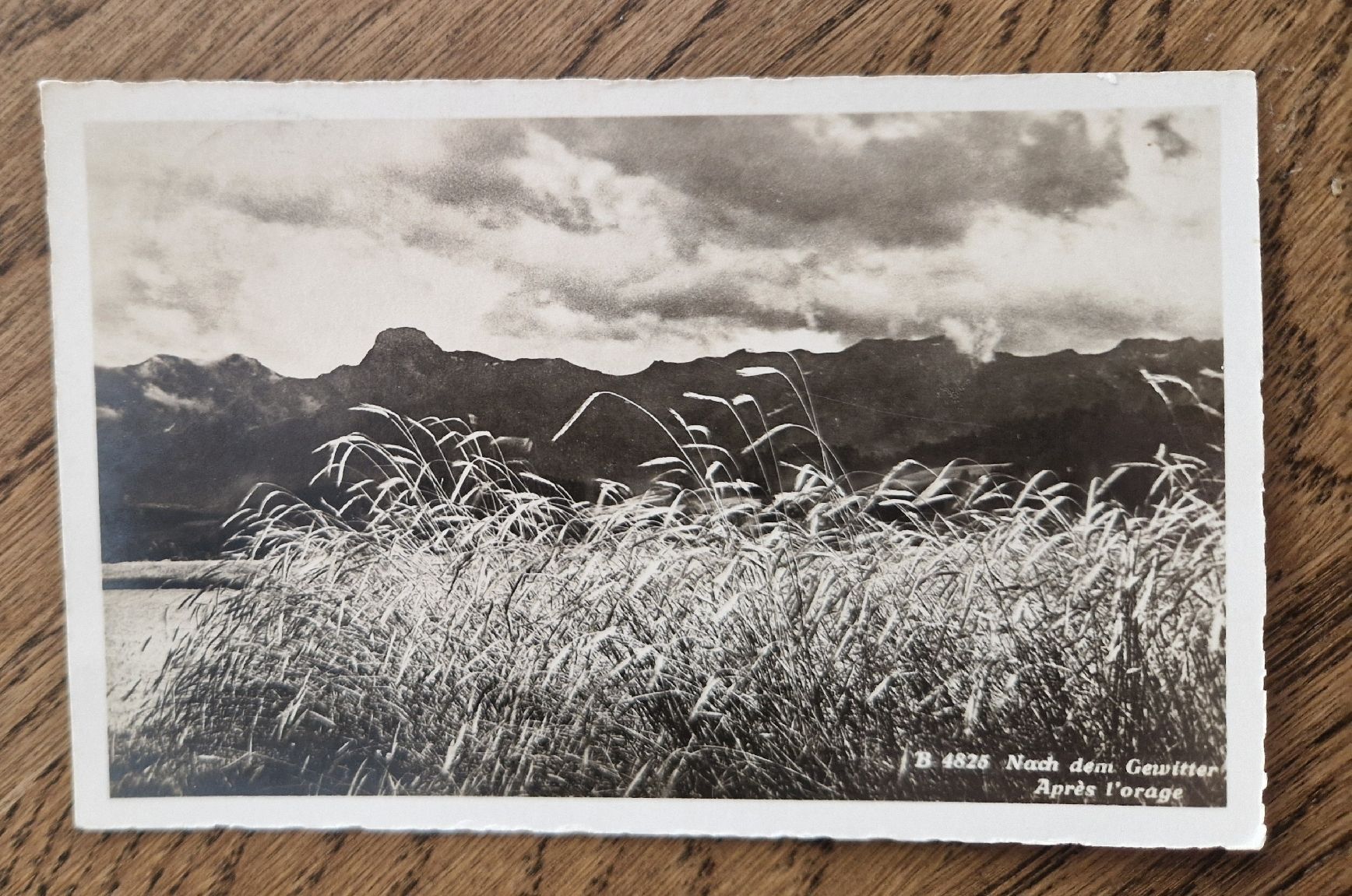 Cartoline postali: Nach dem Gewitter - Après l'orage – Usato da Ebikon venduto da Donar50