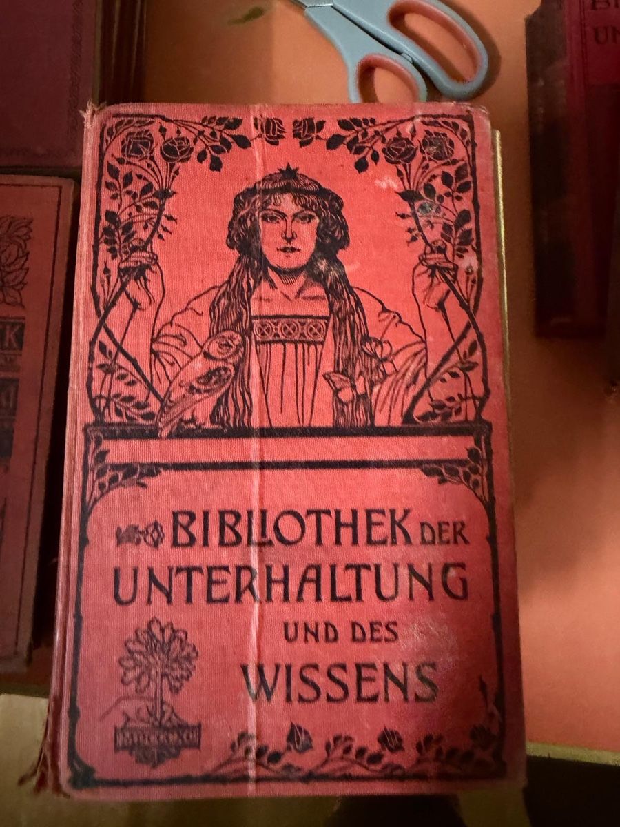 Libri: Bücher Antik 120 Jahre alt – Usato da Mettmenstetten venduto da Turbo1976 3