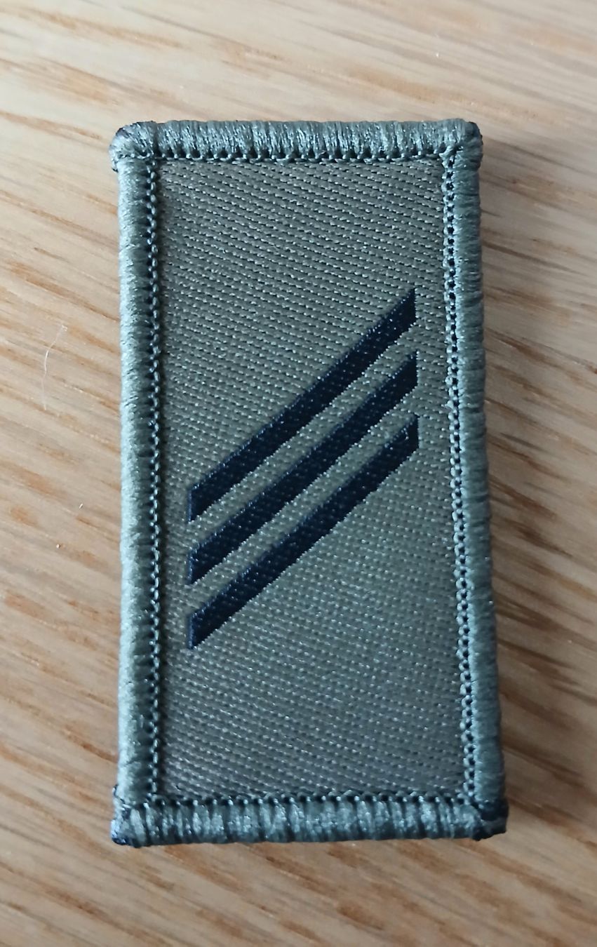 Schweizer Armee Plaketten & Abzeichen: Insigne de grade - Appointé Chef – Gebraucht aus Sciernes-d'Albeuve von Dojo004