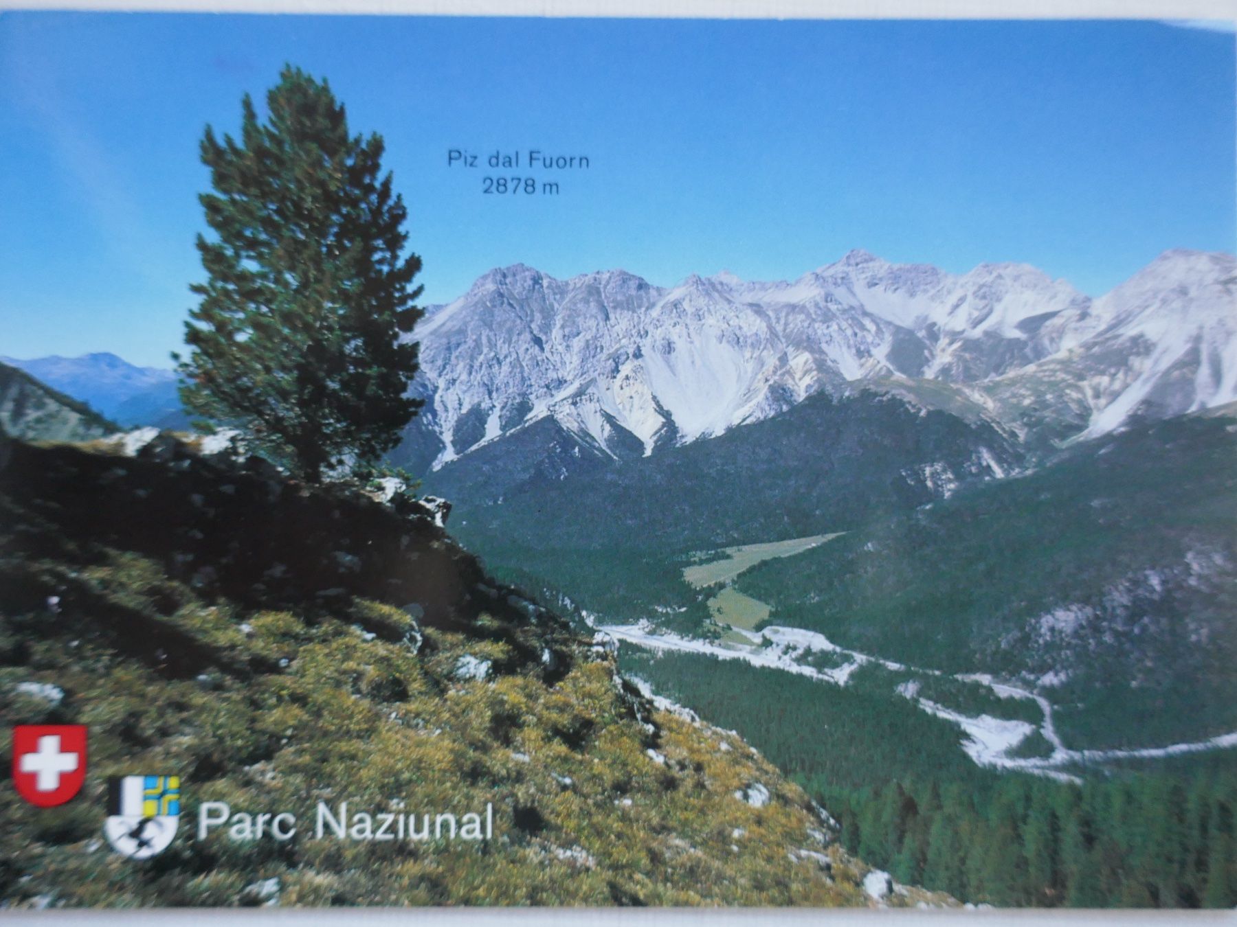 Ansichtskarten: Schweizer Nationalpark – Gebraucht aus Oberriet SG von ret_7j2k