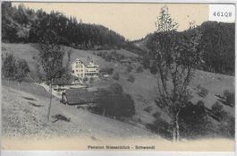 Pension Niesenblick - Schwendi