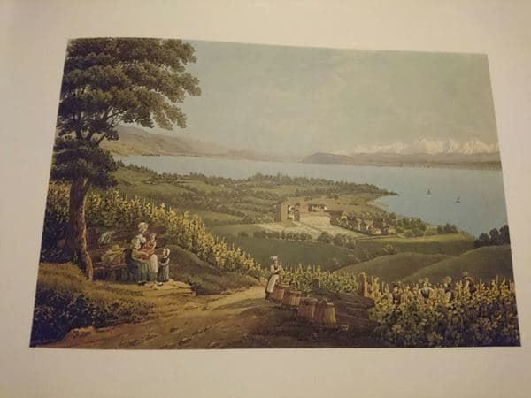 Libri: Fascicule / Sites et Cités Suisses – Nuovo (secondo la descrizione) da Cortaillod venduto da signep 3