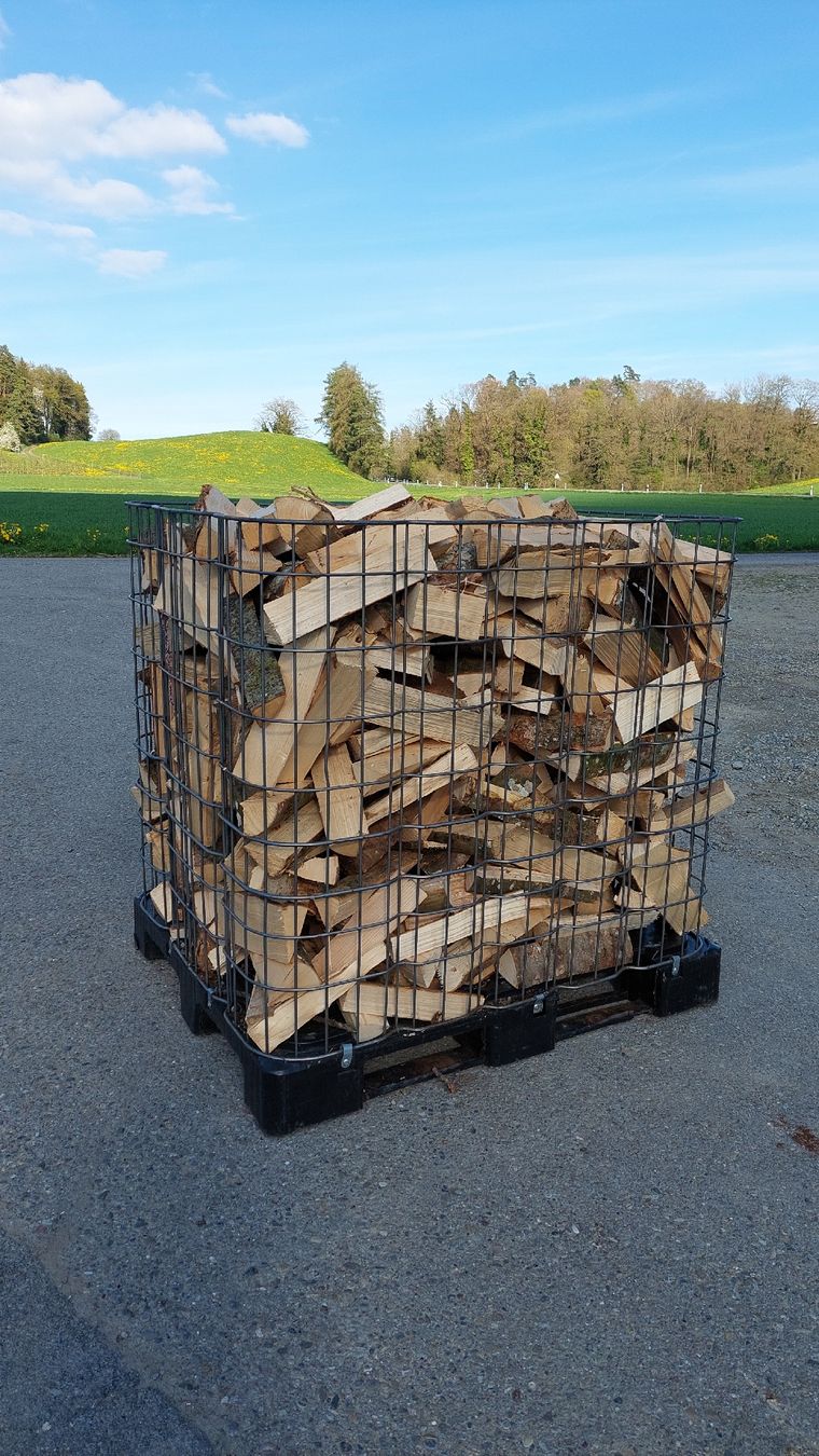 Articoli in legno: Brennholz, Hartholz – Nuovo e nell'imballaggio originale da Rossrüti venduto da Radri