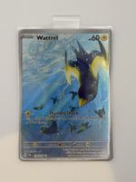 Pokémon Wattrel 178/167