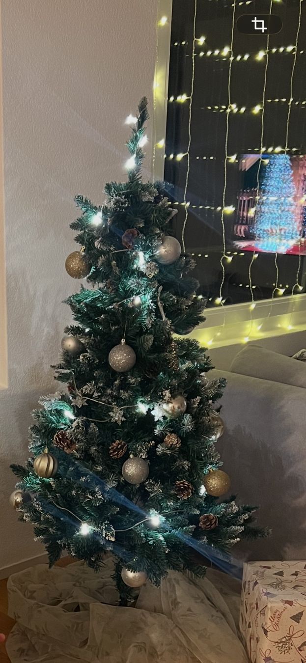 Tutte le decorazioni: Weihnachtsbaum 120cm – Usato da Boll venduto da tes_9qsr 3