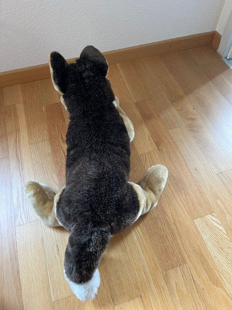 Trudi Spielzeuge: Trudi peluche Dog – Neu (gemäss Beschreibung) aus Zürich von agn_6l9v 3
