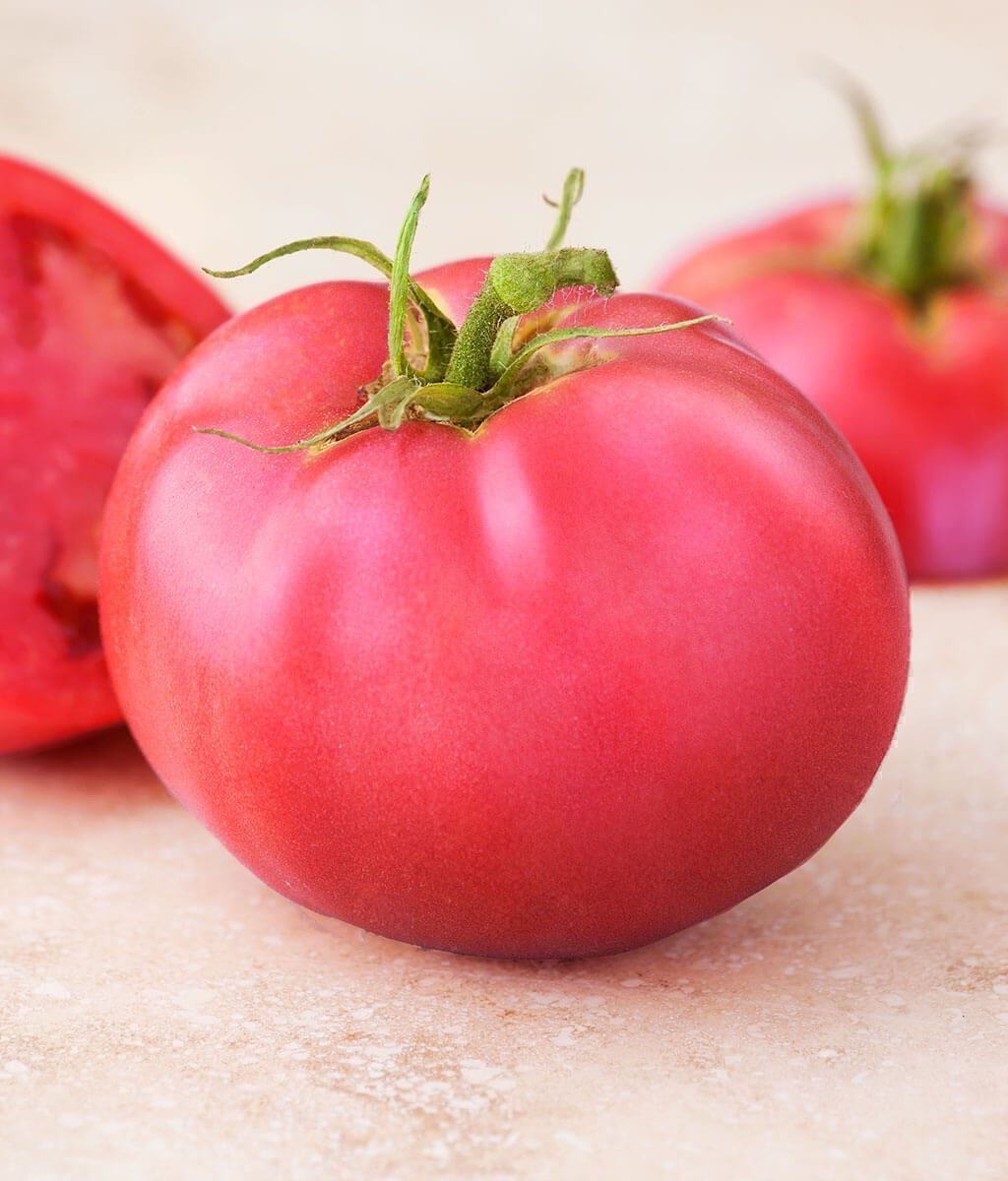 Pflanzen & Samen: 30 Samen BERNER ROSE Tomate – Neu (gemäss Beschreibung) aus Ehrendingen von VerveinaSamen 1