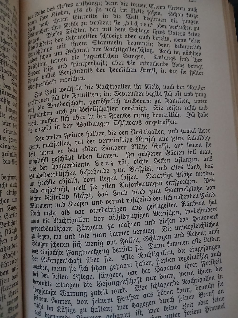 Libri: Brehms Tierleben Buch Hardcover  – Usato da Flüh venduto da Snickerin 1