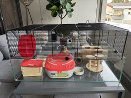 Kleintierkäfig Glas inkl. Zubehör guter Zustand