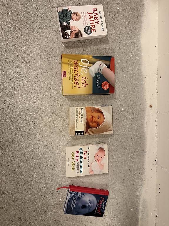 Libri: Babybücher / Elternratgeber – Usato da Liebefeld venduto da zurfp1
