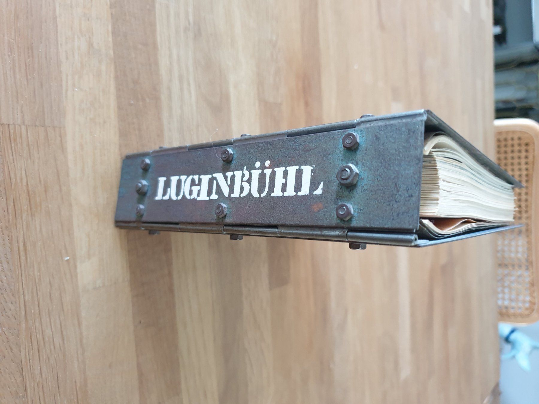 Libri: BERNHARD LUGINBÜHL RINGORDNER EISENDECKEL – Usato da Locarno venduto da ICARO8 2