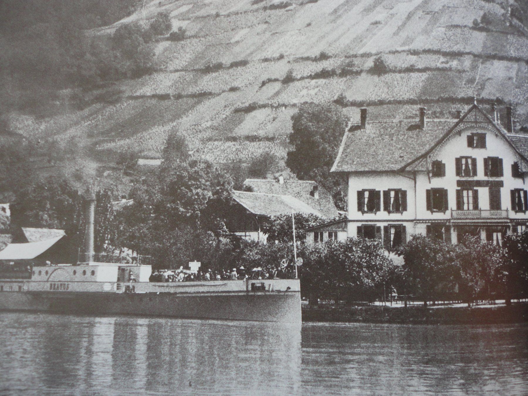 Libri: THUN - Mein Thunersee - 1. Auflage ab CHF 1.00 – Usato da Thun venduto da art.design.BK 5
