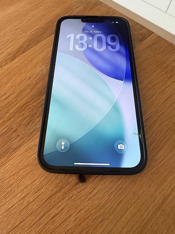 Apple Telefoni cellulari / Smartphones: iPhone 13 Pro Max – Usato da Spiez venduto da joe_8vs6
