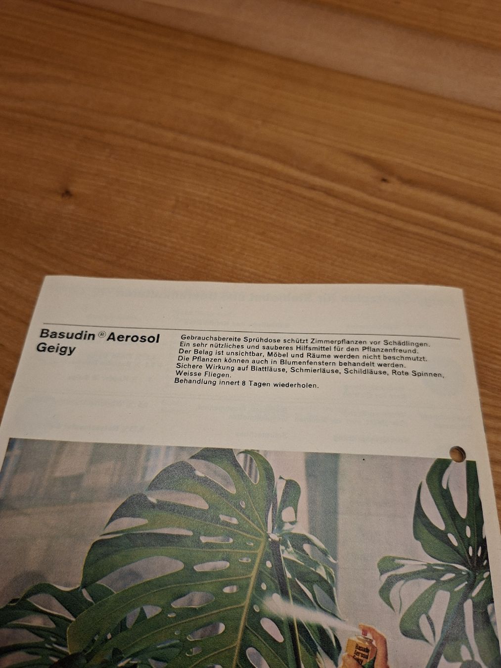 Documenti: Geigy AG Basel Prospekt 1960 – Usato da Ganterschwil venduto da HeidiuPeter 9