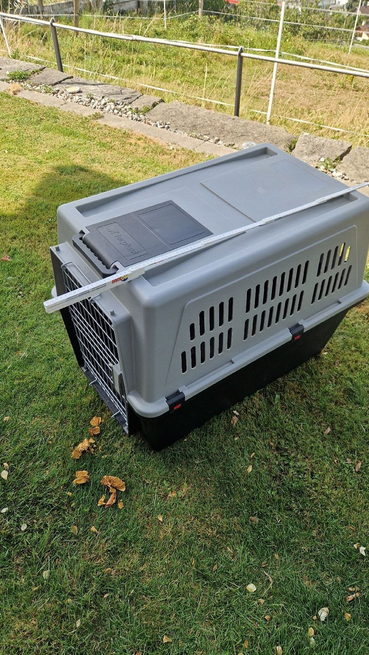 Ferplast Käfige, Transport & Sicherheit: Hundebox Ferplast Atlas 60 – Gebraucht aus Lutzenberg von Pahaja